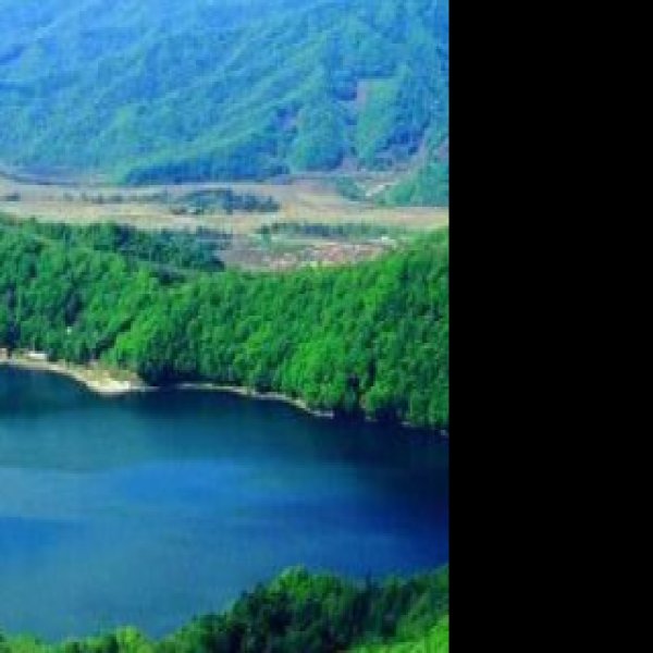 吉林通化长白山 - 图片2