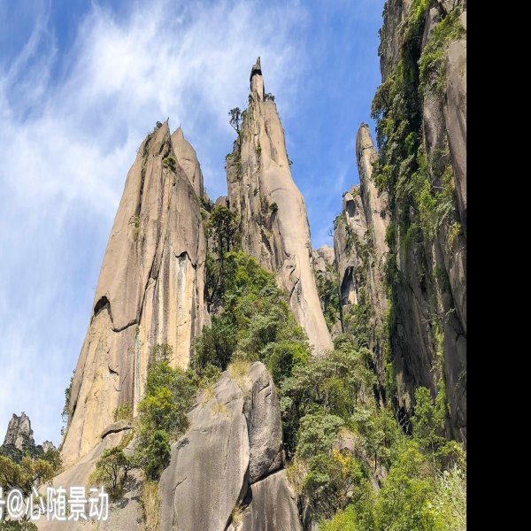 江西上饶三清山 - 图片4