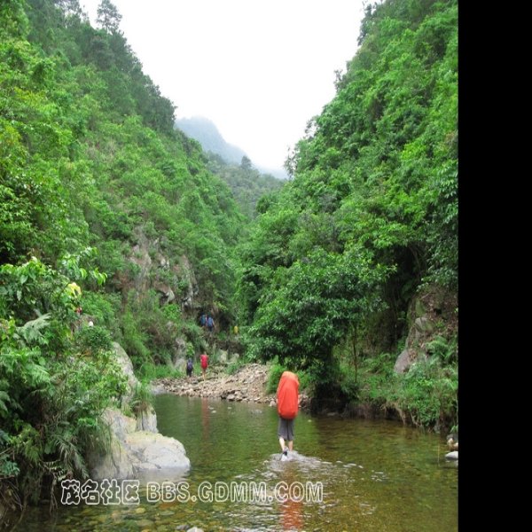 广西南宁大明山 - 图片8