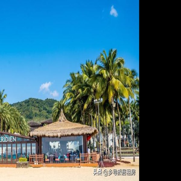 海南万宁兴隆 - 图片1
