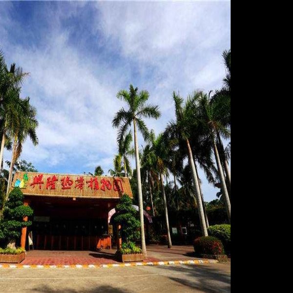 海南万宁兴隆 - 图片7