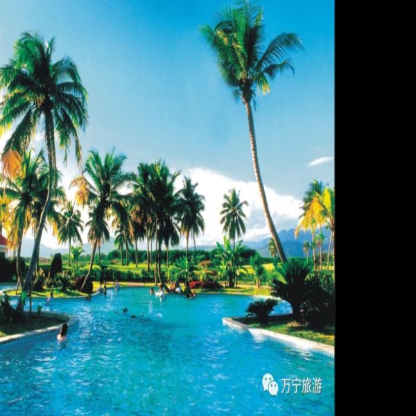 海南万宁兴隆 - 图片9