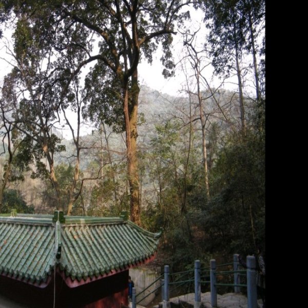 贵州贵阳黔灵公园 - 图片4