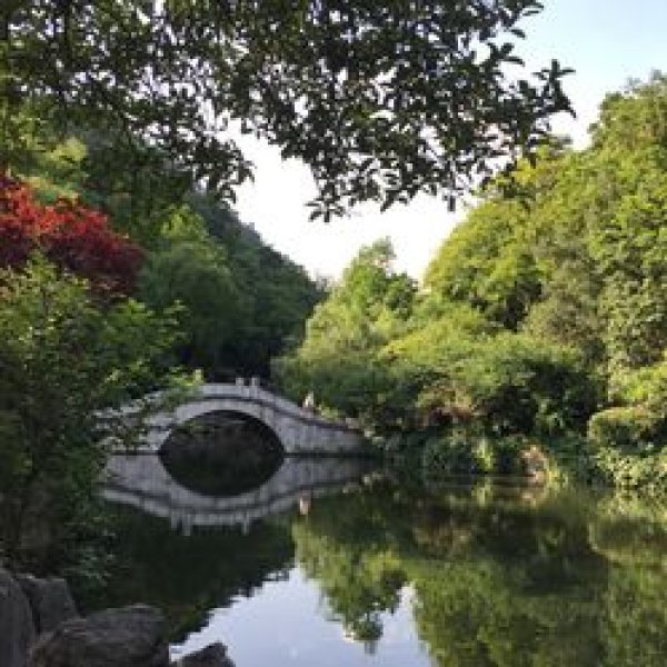 贵州贵阳黔灵公园 - 图片5