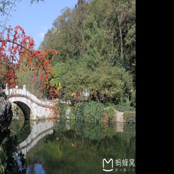 贵州贵阳黔灵公园 - 图片6
