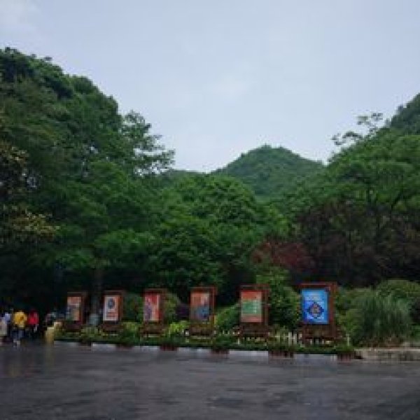 贵州贵阳黔灵公园 - 图片9