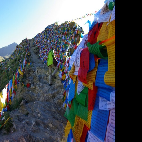 西藏山南雍布拉康 - 图片6