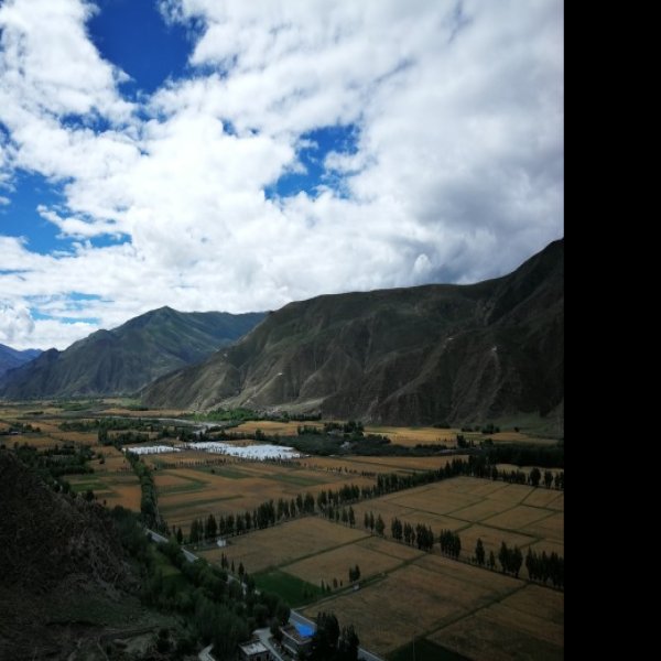 西藏山南雍布拉康 - 图片7