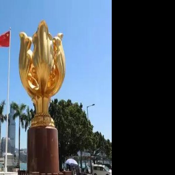 香港金紫荆广场 - 图片5