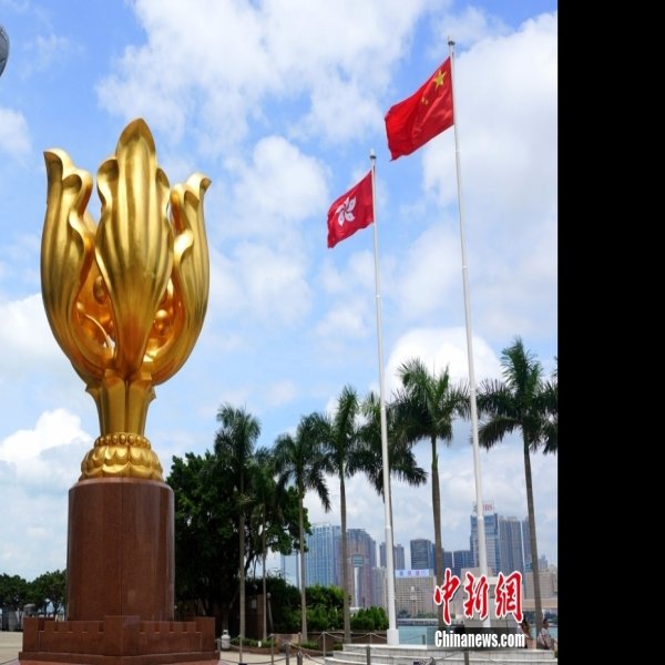 香港金紫荆广场 - 图片7