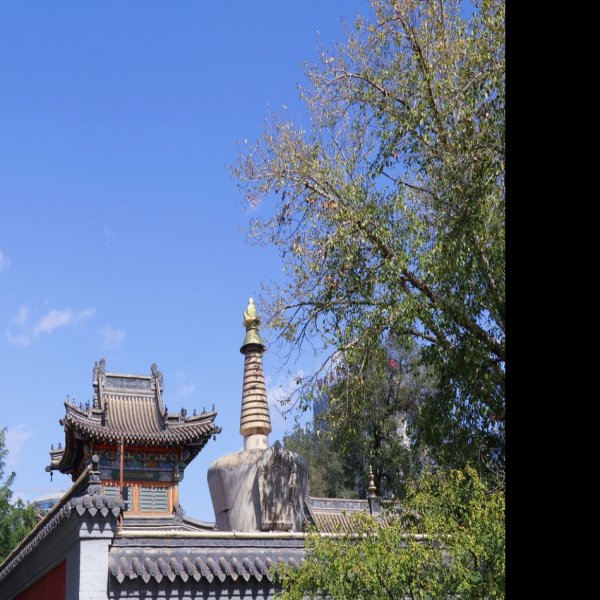 内蒙古呼和浩特五塔寺 - 图片7