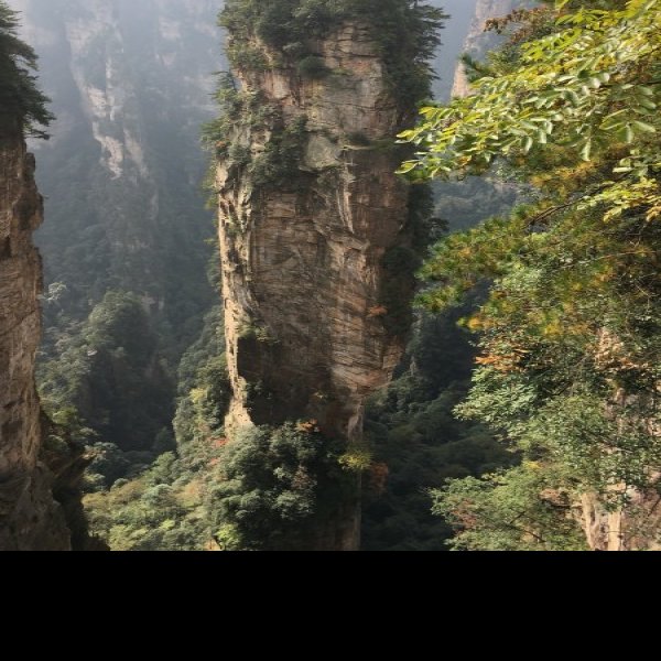 湖南张家界国家森林公园 - 图片10