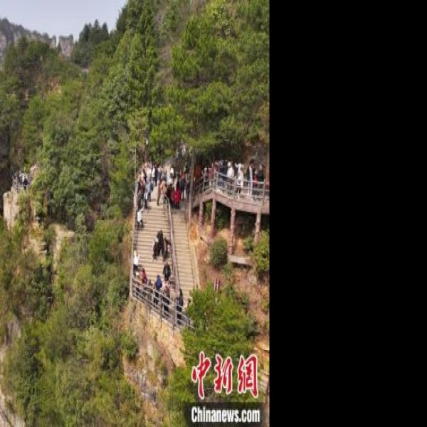 湖南张家界国家森林公园 - 图片4