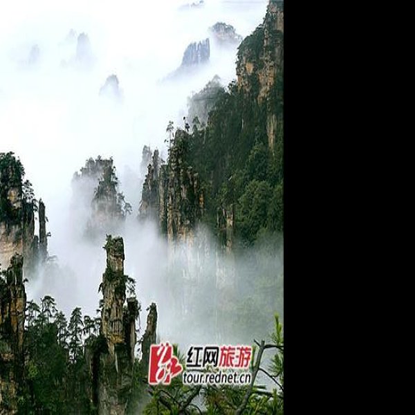 湖南张家界国家森林公园 - 图片6