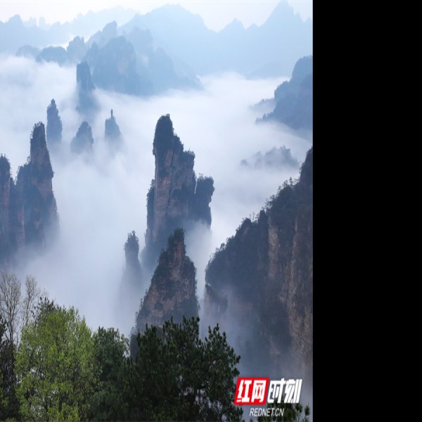 湖南张家界国家森林公园 - 图片7