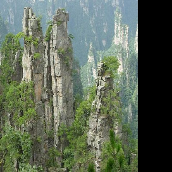 湖南张家界国家森林公园 - 图片8