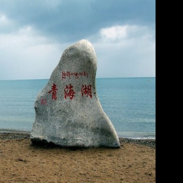青海西宁青海湖鸟岛 - 图片9