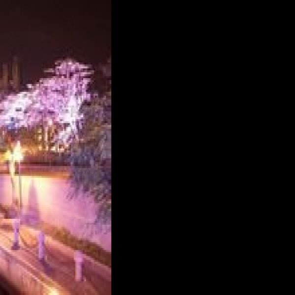 台湾高雄爱河 - 图片3