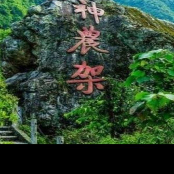 湖北神农架风景区 - 图片4