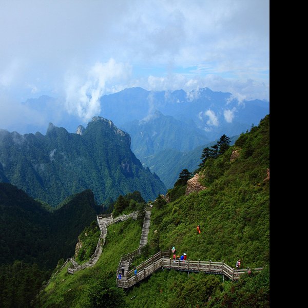 湖北神农架风景区 - 图片5