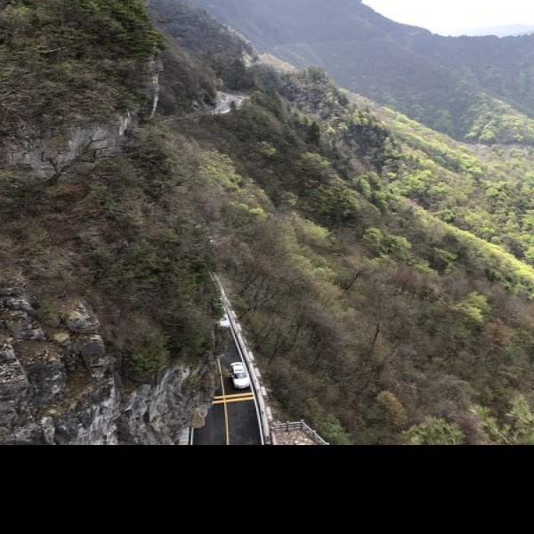 湖北神农架风景区 - 图片6