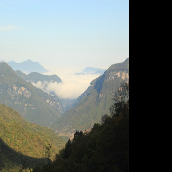 湖北神农架风景区 - 图片7