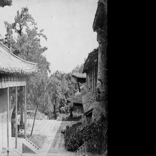 普陀山寺庙群 - 图片2
