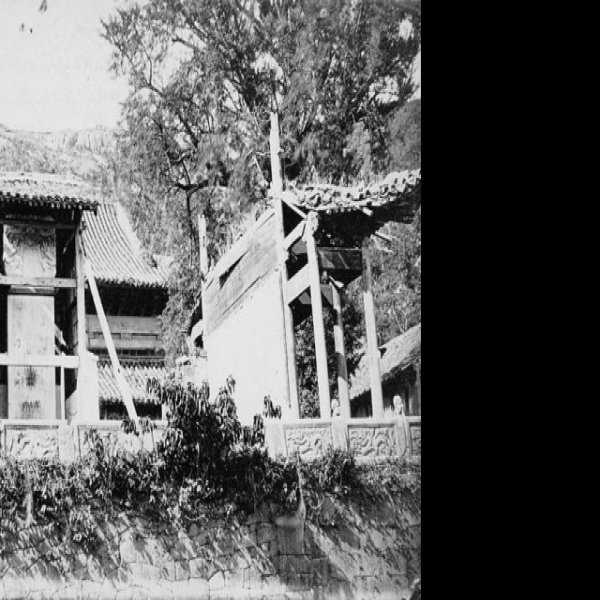 普陀山寺庙群 - 图片3