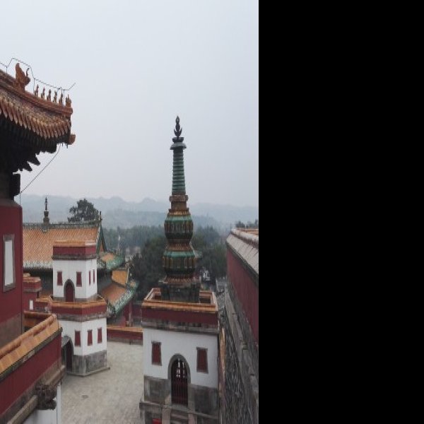 普陀山寺庙群 - 图片8