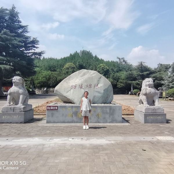 昭陵博物馆 - 图片5
