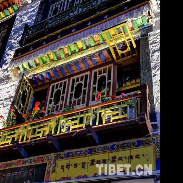 西藏拉萨八廓街 - 图片9