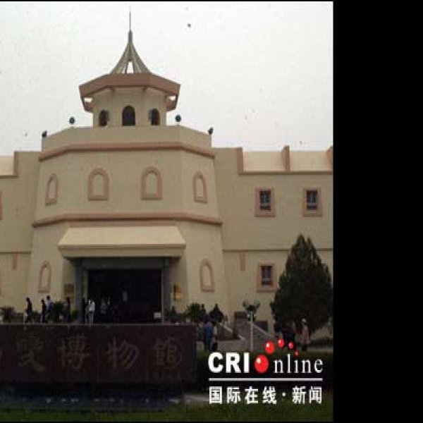 西夏王陵博物馆 - 图片4
