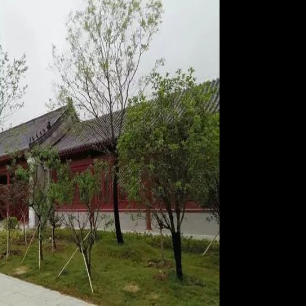明中都遗址公园 - 图片1