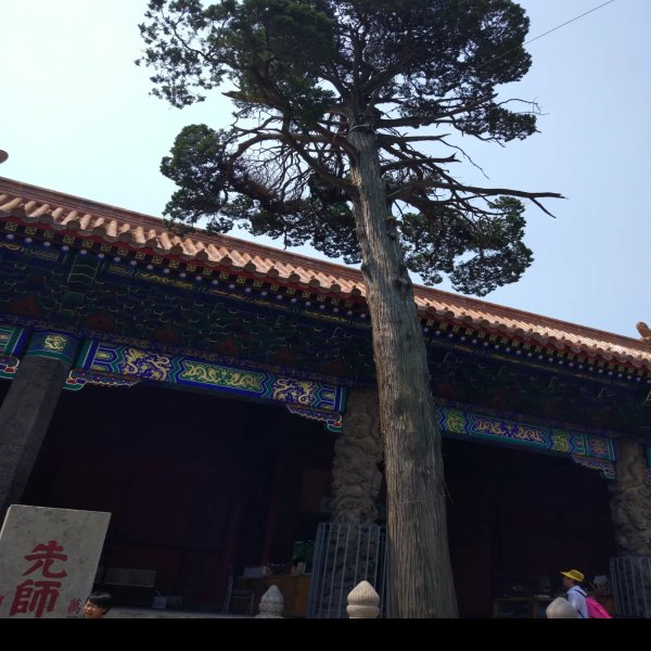曲阜三孔 - 图片4