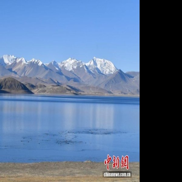 西藏羊卓雍错湖 - 图片1
