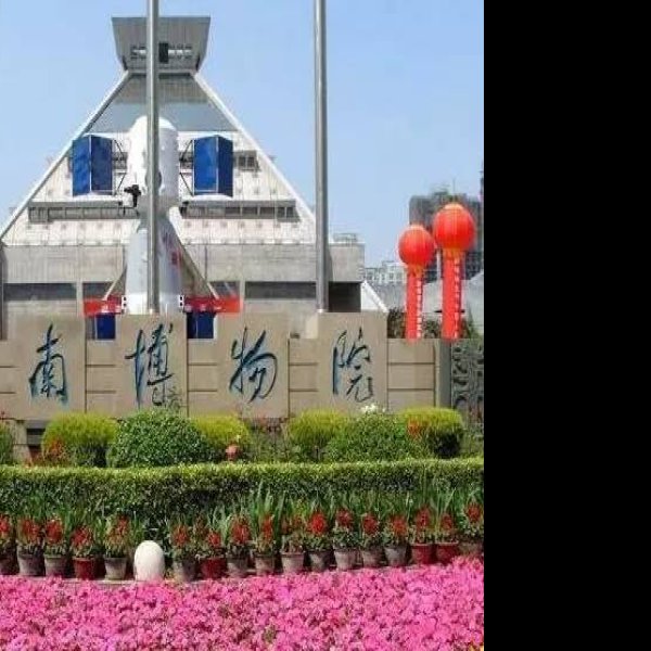 河南博物院 - 图片8