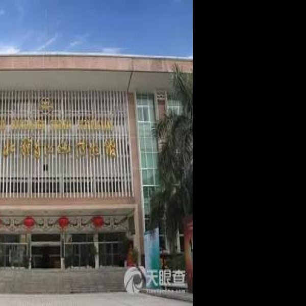 广西壮族自治区博物馆 - 图片6