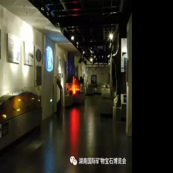 中国地质博物馆 - 图片1
