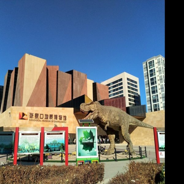 中国地质博物馆 - 图片9