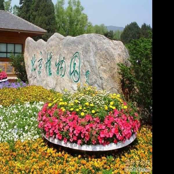 北京植物园 - 图片1