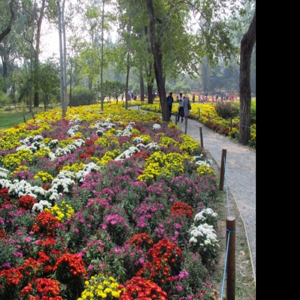 北京植物园 - 图片10