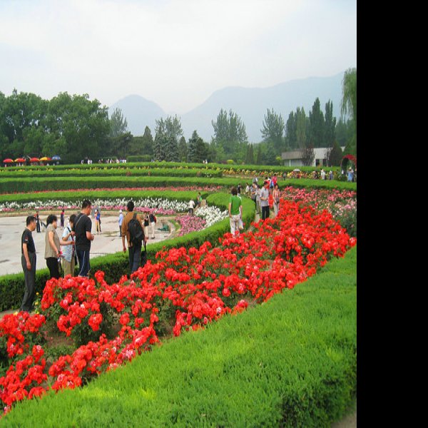 北京植物园 - 图片2