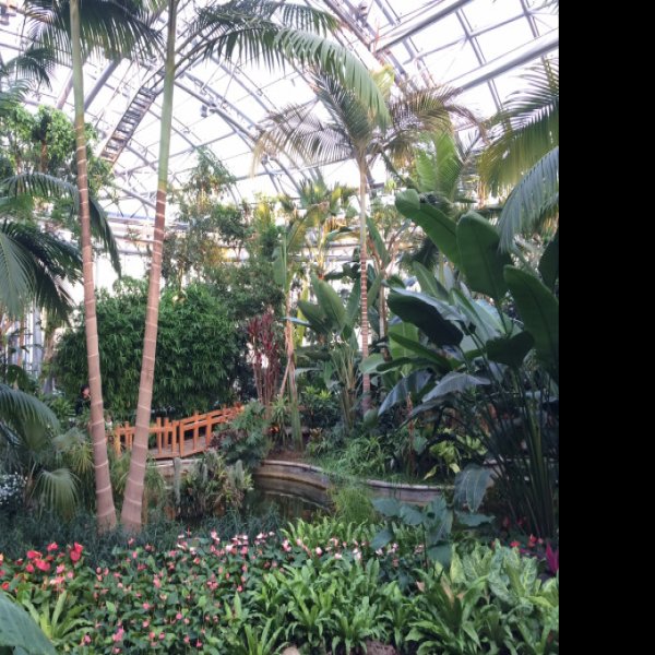 北京植物园 - 图片4