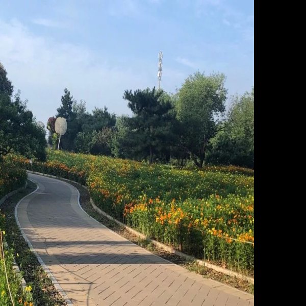 北京植物园 - 图片6