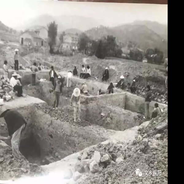 汤家墩遗址 - 图片2