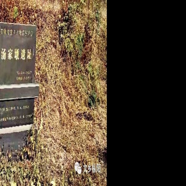 汤家墩遗址 - 图片5