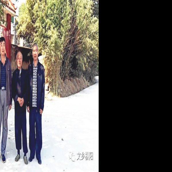 汤家墩遗址 - 图片9