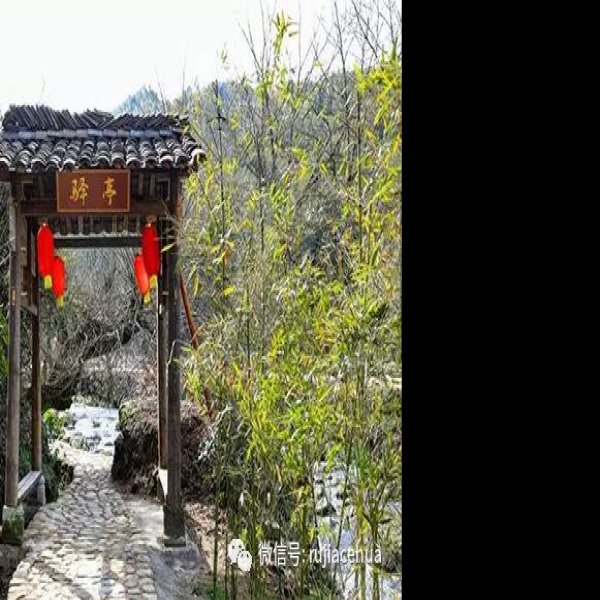 武夷山闽赣古驿道 - 图片10