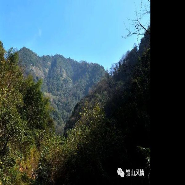 武夷山闽赣古驿道 - 图片6