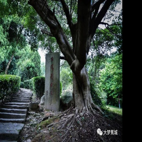 白鹤岭福温古道 - 图片2